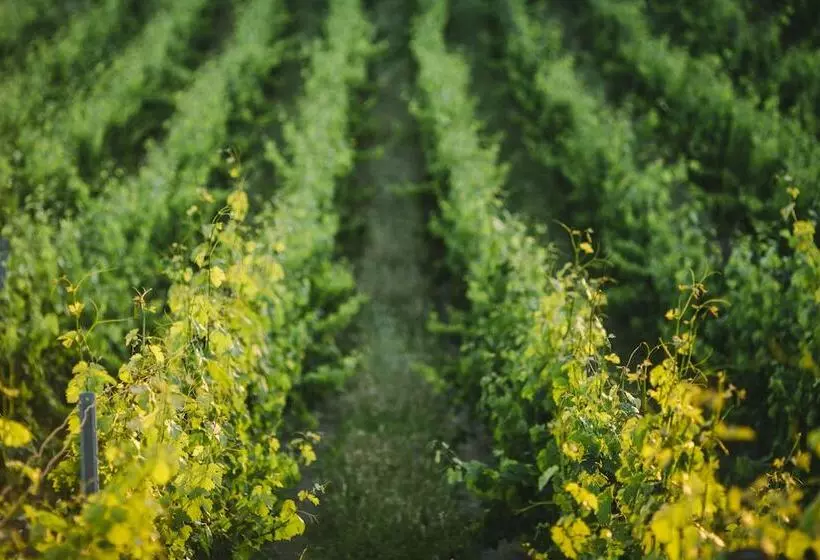 ホテル Agriturismo Tenuta Cantagallo