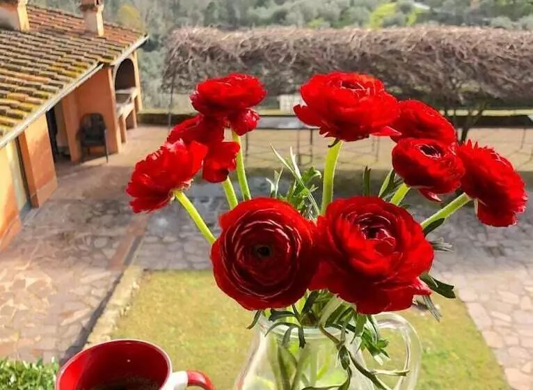 ホテル Agriturismo Tenuta Cantagallo