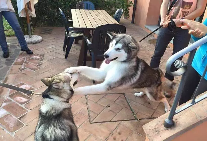 ホテル Agriturismo Tenuta Cantagallo