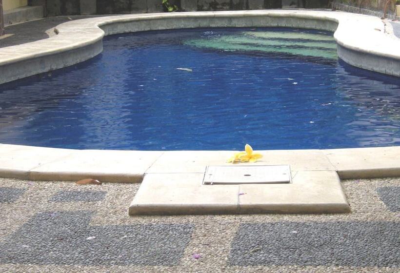 בית מלון כפרי Jambu Inn