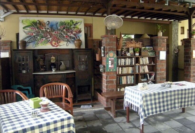 בית מלון כפרי Jambu Inn