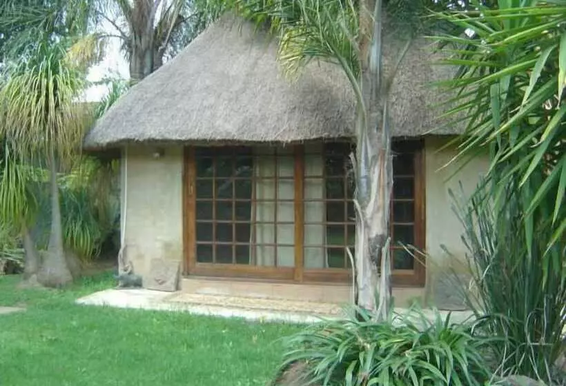 펜션 Airport Modjadji Guesthouse