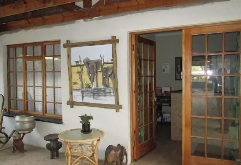 펜션 Airport Modjadji Guesthouse