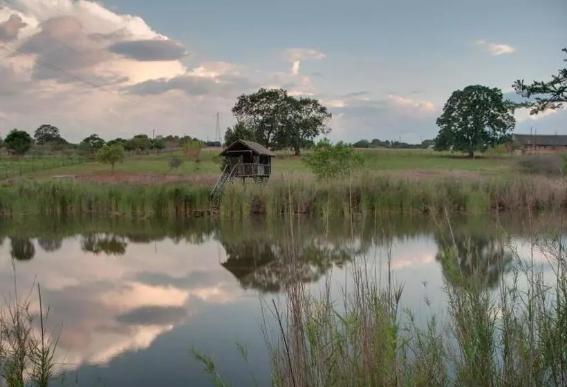 پانسیون Ilanda Guest House