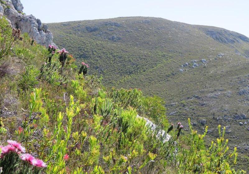 פנסיון The Potting Shed Guest House