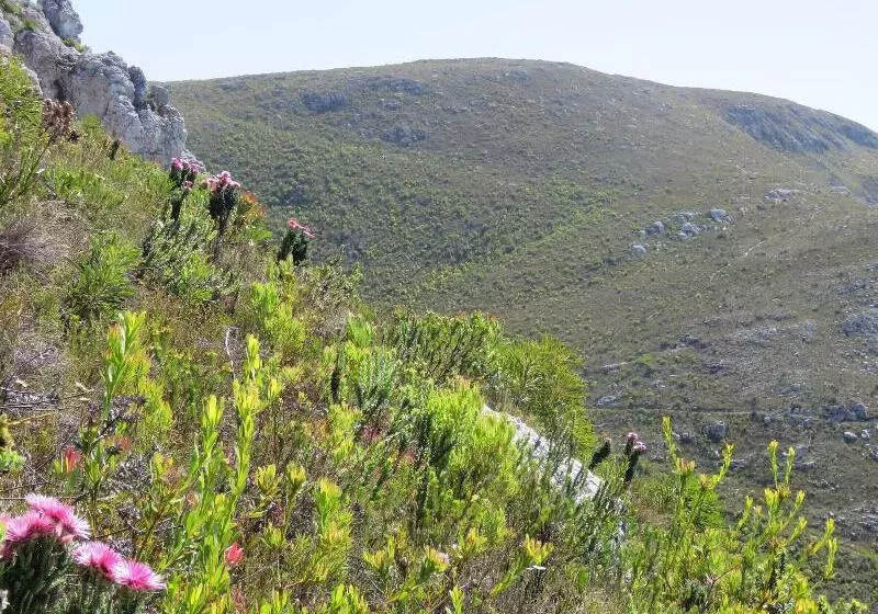 펜션 The Potting Shed Guest House