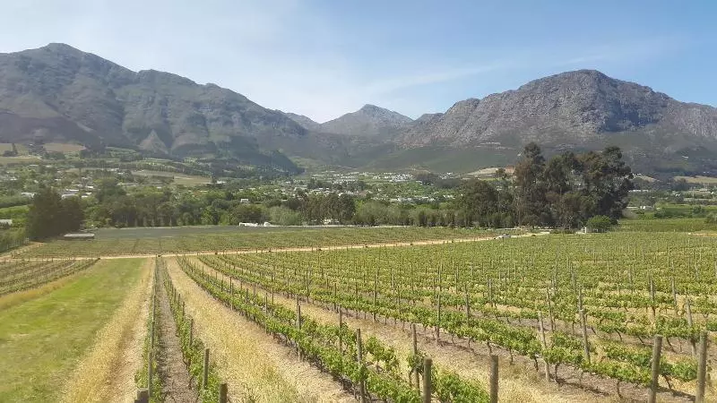 펜션 The Potting Shed Guest House