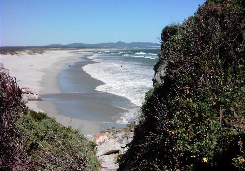 פנסיון The Potting Shed Guest House