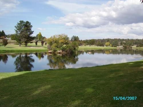 The Vines Motel & Cottages