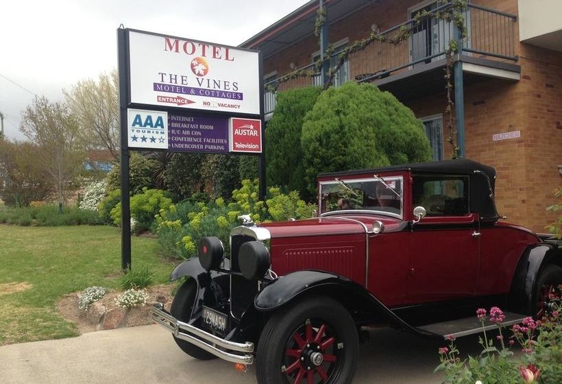 The Vines Motel & Cottages