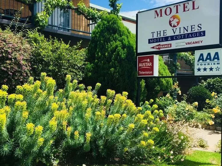 The Vines Motel & Cottages