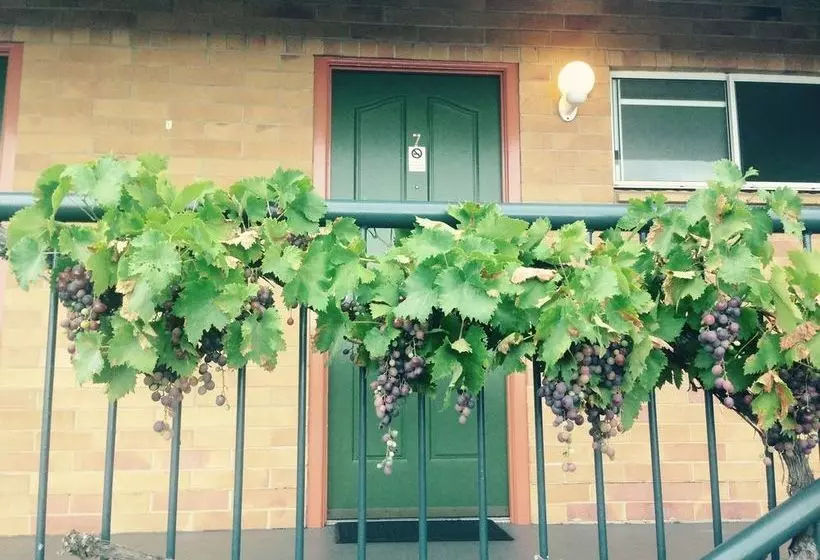 The Vines Motel & Cottages