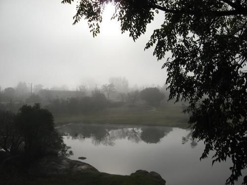 The Vines Motel & Cottages