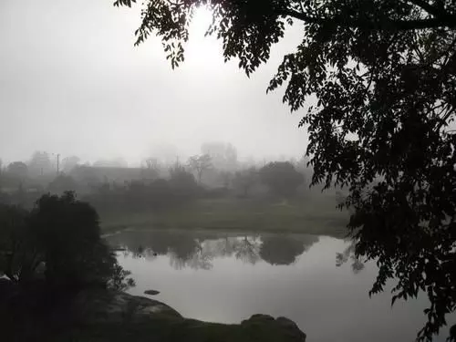 The Vines Motel & Cottages