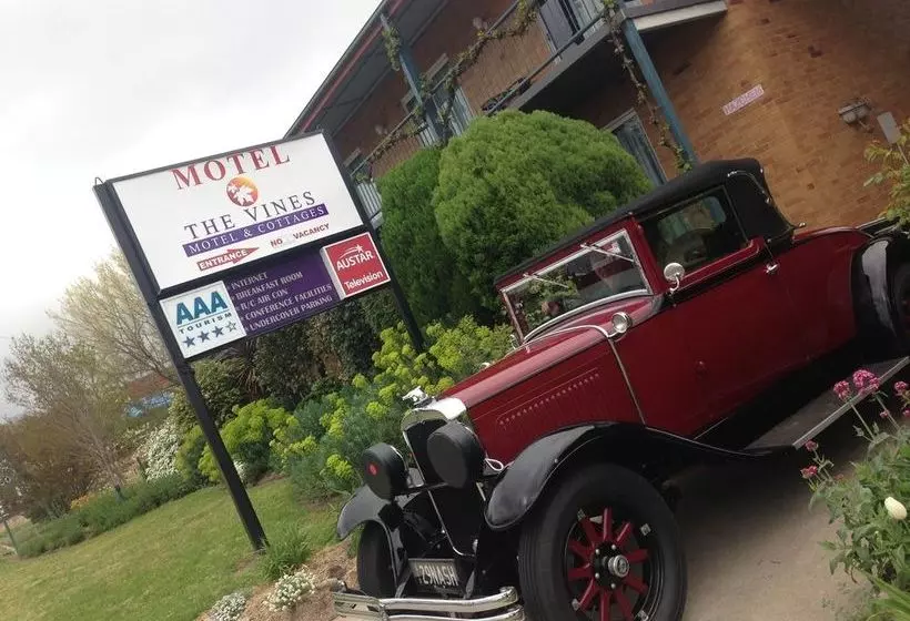 The Vines Motel & Cottages