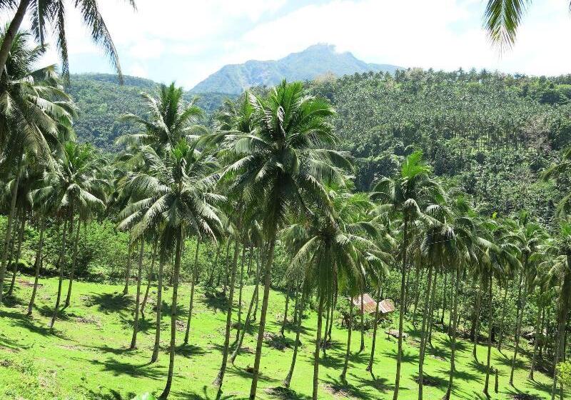 Camiguin Volcan Beach Eco Retreat & Dive Resort