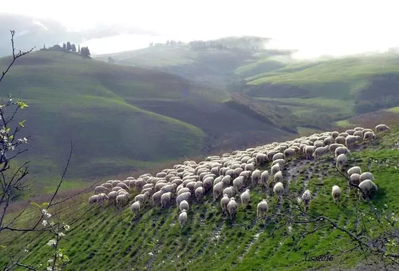 בית מלון כפרי Agriturismo Fattoria Lischeto