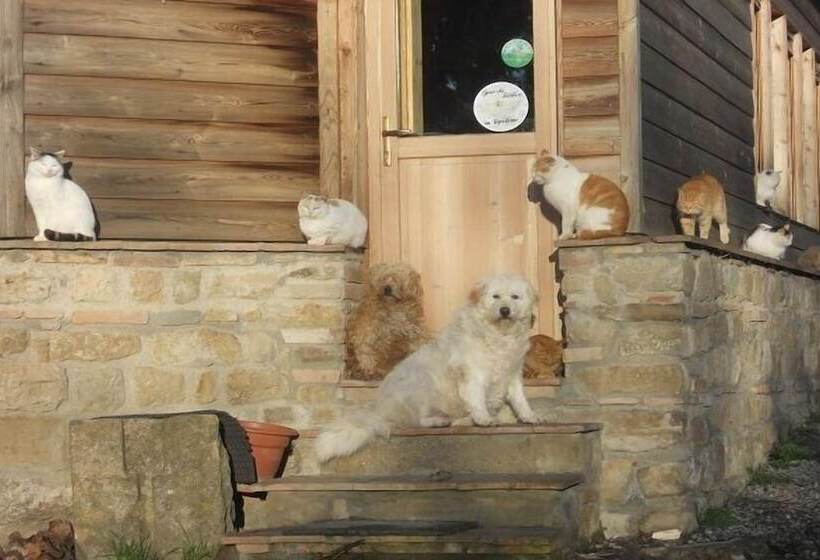 בית מלון כפרי Agriturismo Fattoria Lischeto