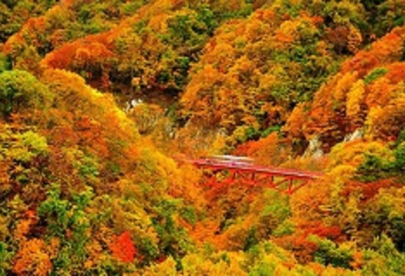 בית מלון כפרי Housei