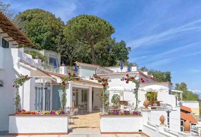 Отель Villa D'orta