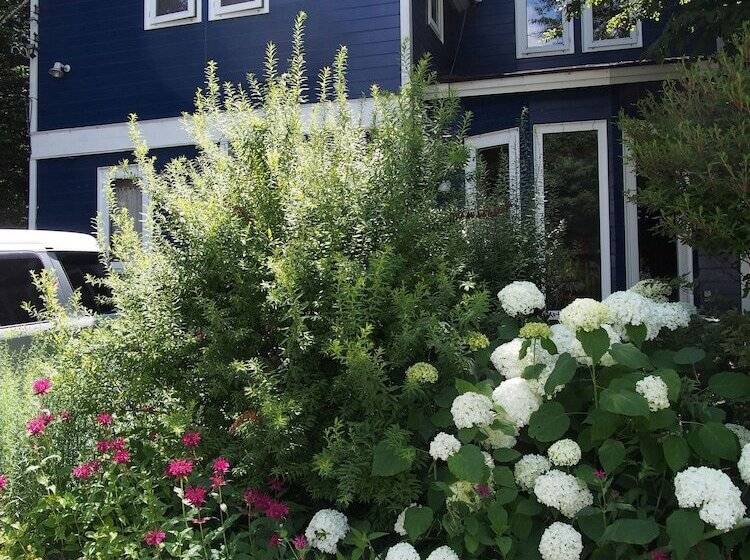 بنسيون Bellscabin Guesthouse