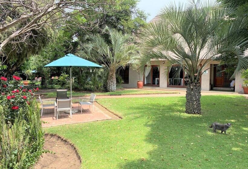 膳宿费 Safari Club Sa