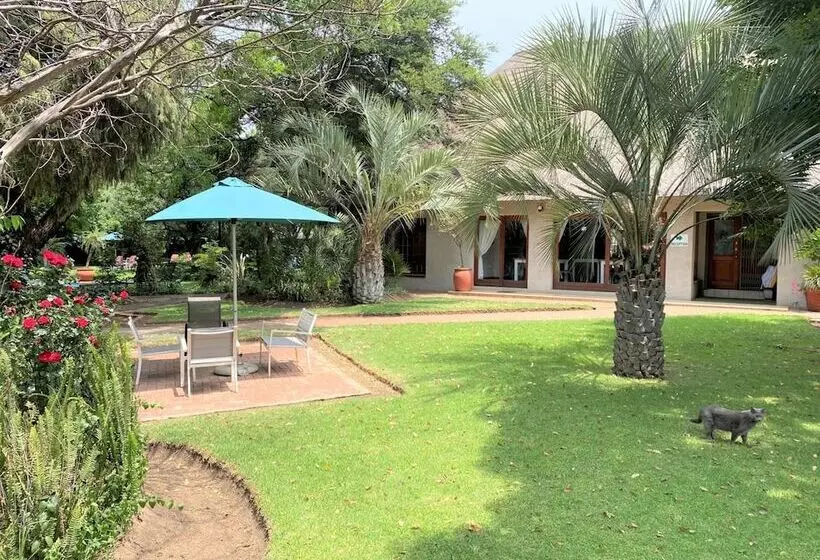 膳宿费 Safari Club Sa