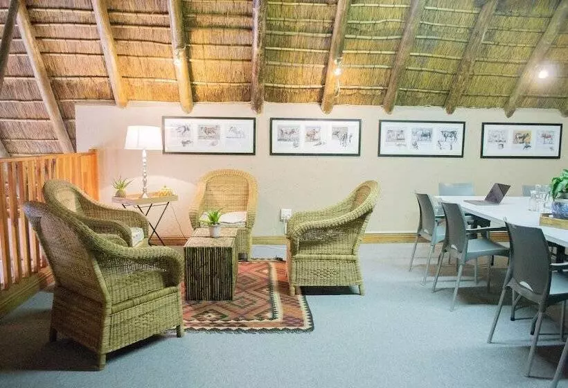 膳宿费 Safari Club Sa