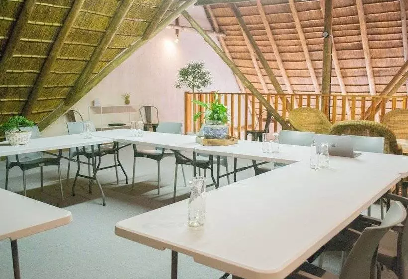 膳宿费 Safari Club Sa