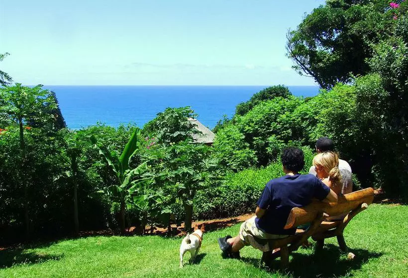 ユースホステル Secret Spot Backpackers