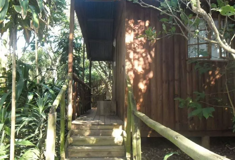 ユースホステル Secret Spot Backpackers