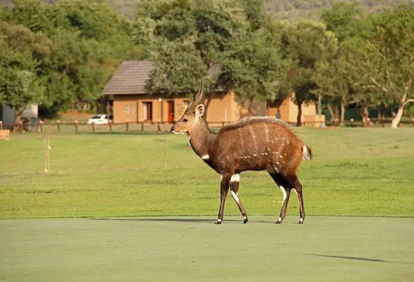 First Group Magalies Park