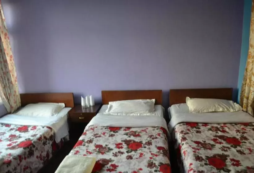 هتل Discovery Inn