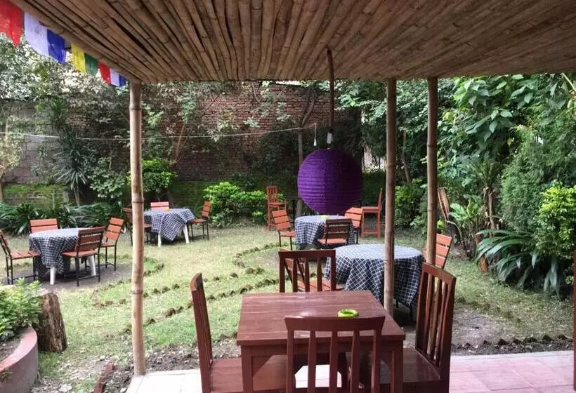 هتل Discovery Inn