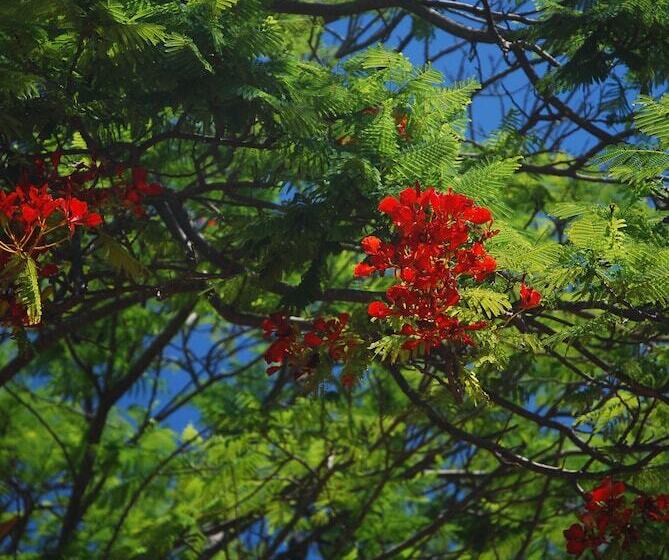 酒店 Discovery Parks Carnarvon