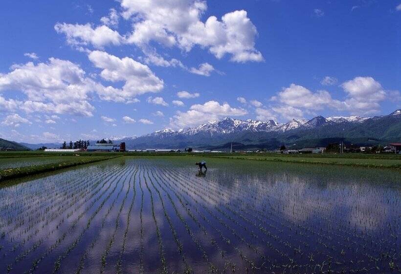 Отель Furano Natulux