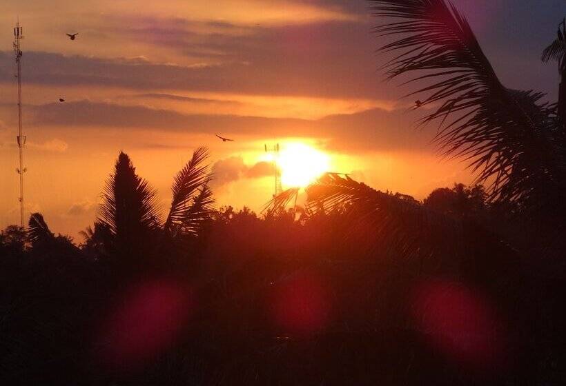 בית מלון כפרי Hibiscus Cottages