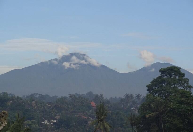 בית מלון כפרי Hibiscus Cottages