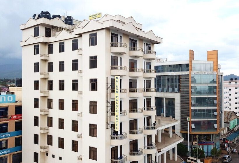 Отель Natron Palace