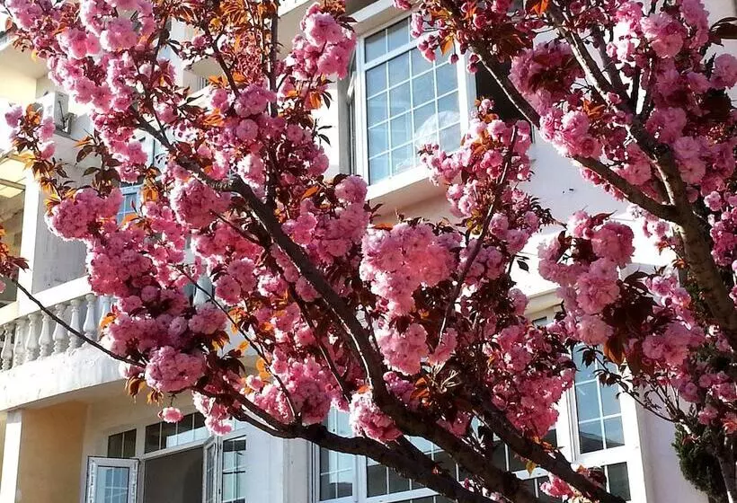 ホテル Qingdao Villa Inn Seaside