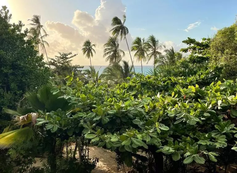 Пансион Bellevue Zanzibar