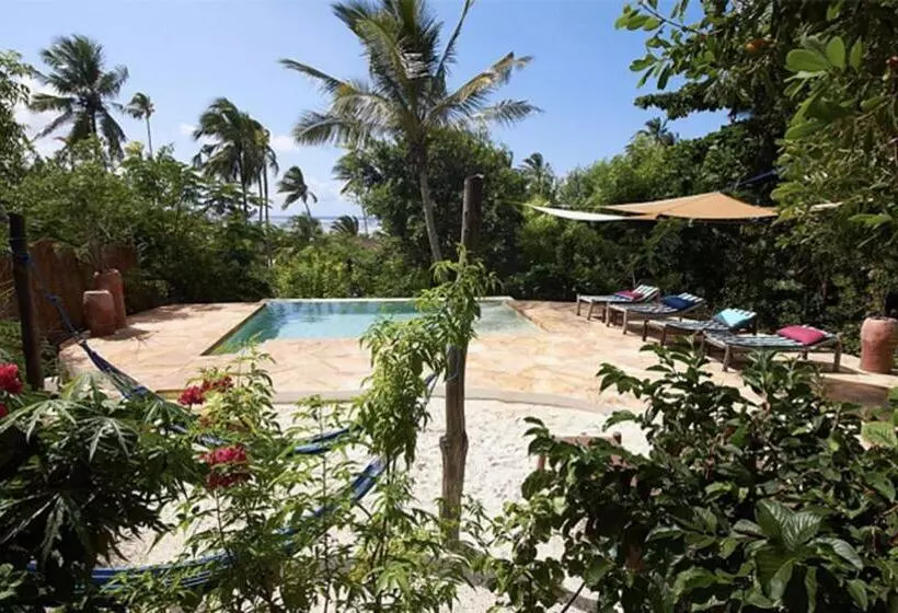 Пансион Bellevue Zanzibar