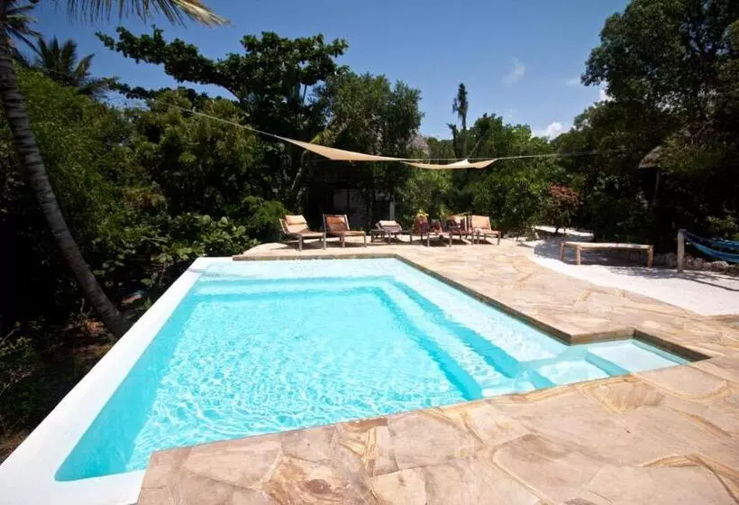 Пансион Bellevue Zanzibar