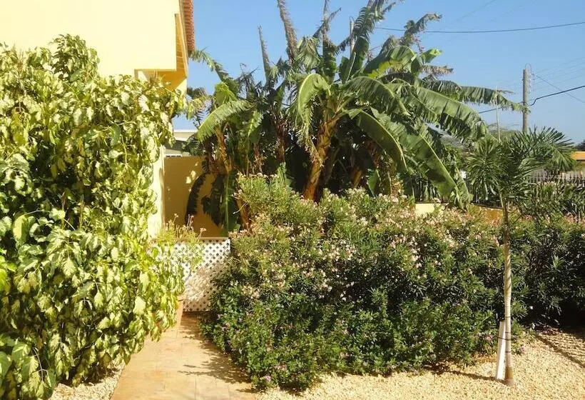 Alta Montaña Apartments