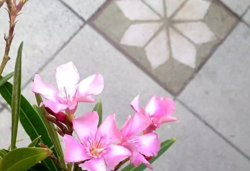 Bed and Breakfast L'autre Maison