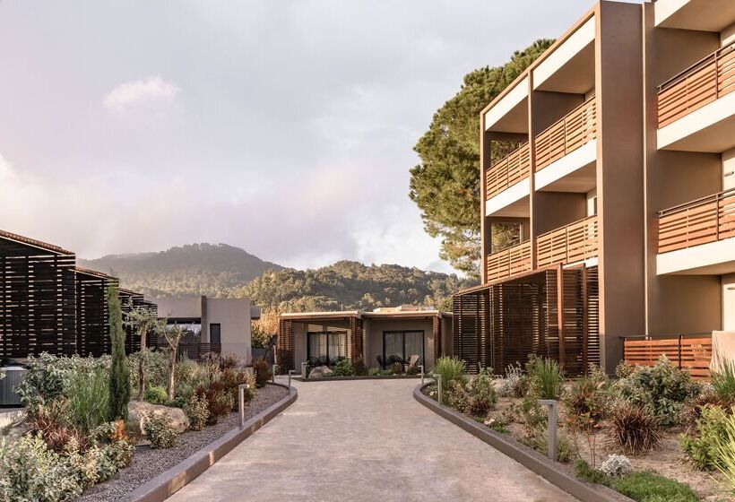 Cook S Club Ialysos Rhodes