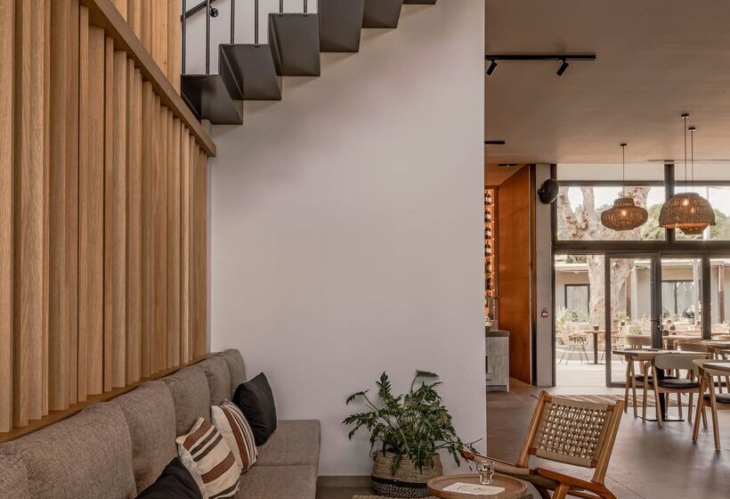 Cook S Club Ialysos Rhodes