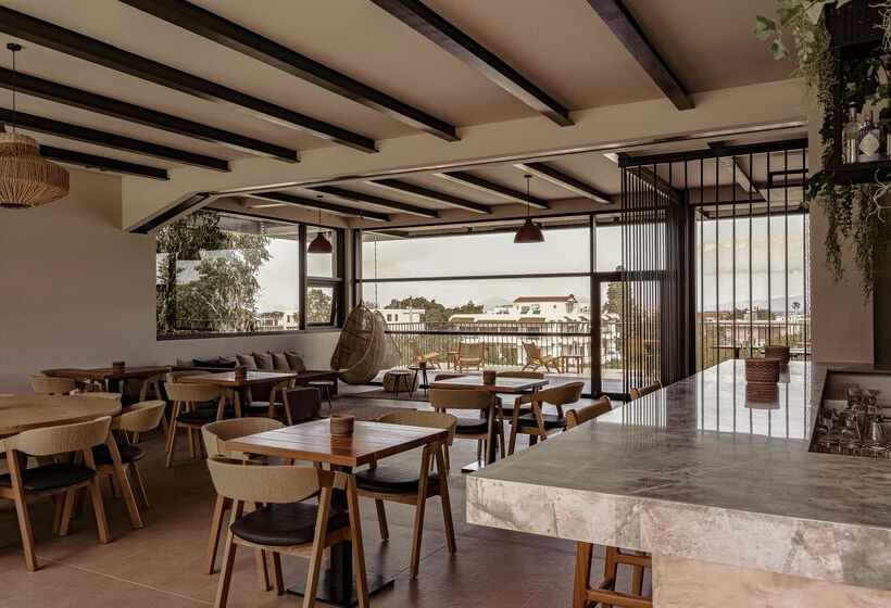 Cook S Club Ialysos Rhodes