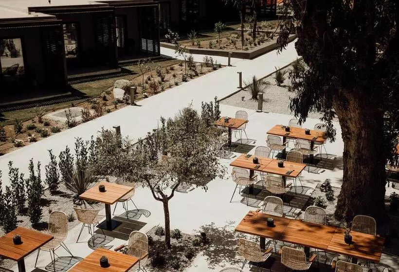 Cook S Club Ialysos Rhodes