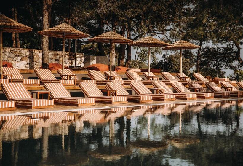 Cook S Club Ialysos Rhodes